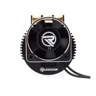 RUDDOG RP691 2000KV 1/8 Sensored Competition Brushless Motor / RP-0158