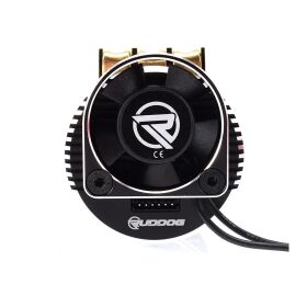 RUDDOG RP691 2600KV 1/8 Sensored Competition Brushless Motor / RP-0162