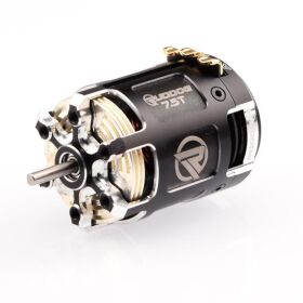 RUDDOG Racing RP542 4.5T 540 Sensored Brushless Motor / RP-0438