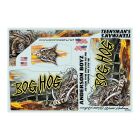 Jconcepts Bog Hog -  Mega Truck body (Fits - Axial SMT10 - 7" width & 11" wheelbase) / JCO0347