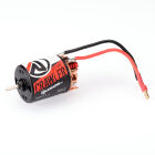 RUDDOG Crawler 13T 5-Slot Brushed Motor / RP-0273