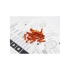 Hiro Seiko M17 Light Weight Screw Set [Orange] / HS-48410