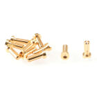 RUDDOG 4mm Gold Plug Male 14mm (10pcs) / RP-0184