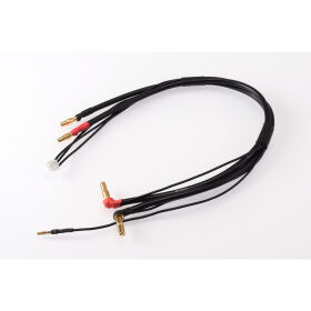 RUDDOG 2S Charging Lead 30cm (4/5mm,2mm)(4mm,3PIN-XH) /...