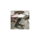 Bittydesign Vinyl Stencil - Ipnotic V3 / BDSTC-007