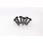 Hiro Seiko Hex Socket Flat Head Screw M3x12 [S-Black] ( 6 pcs) / HS-69527