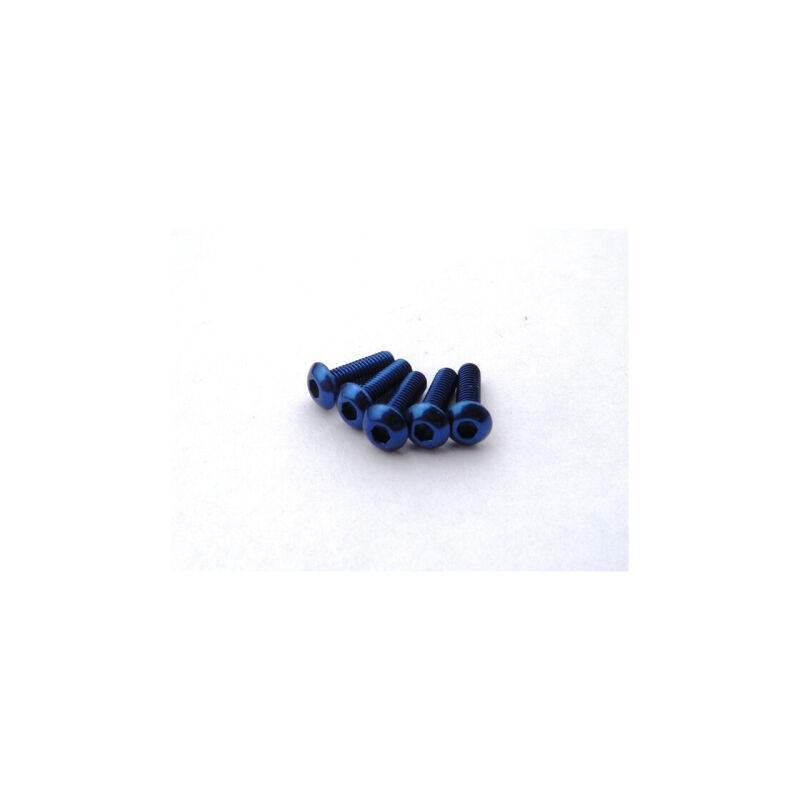 Hiro Seiko Alloy Hex Socket Button Head Screw M3x6 [Y-Blue] ( 5 pcs) / HS-69623