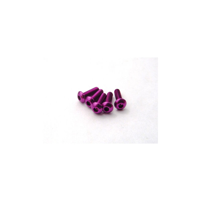 Hiro Seiko Alloy Hex Socket Button Head Screw M3x8 [Purple] ( 5 pcs) / HS-69632