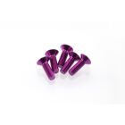 Hiro Seiko Alloy Hex Socket Flat Head Screw M3x10 [Purple] ( 5 pcs) / HS-69653