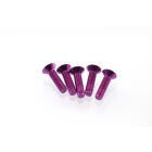 Hiro Seiko Alloy Hex Socket Flat Head Screw M3x12  [Purple] ( 5 pcs) / HS-69654