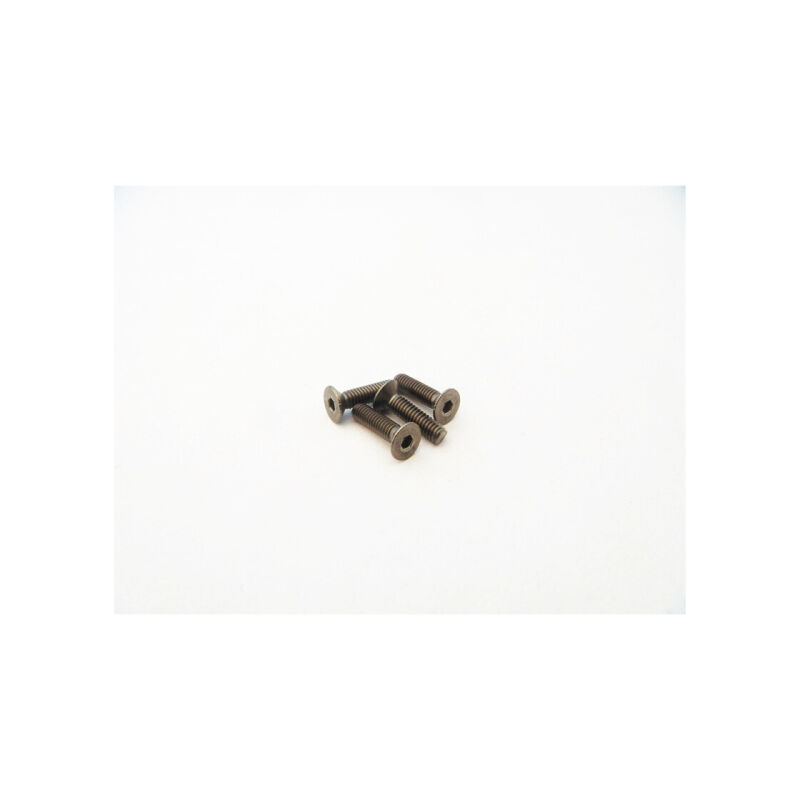 Hiro Seiko Titanium Hex Socket Flat Head Screw M2.5x12mm (4pcs) / HS-48622