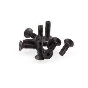 RUDDOG M4x14mm Flat Head Screws (10pcs) / RP-0608