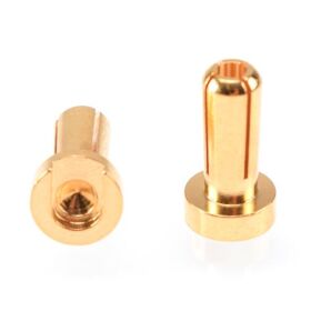 RUDDOG 4mm Gold Plug Male 12mm (2pcs) / RP-0181