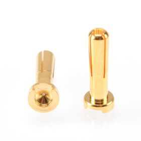RUDDOG 4mm Gold Plug Male 18mm (2pcs) / RP-0185