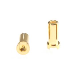 RUDDOG 5mm Gold Plug Male 14mm (2pcs) / RP-0264