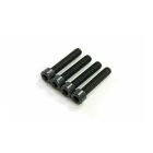 Alpha Plus Cooling Head Screw (4pcs) / E39-BU02100