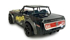 AMEWI Drift Sports Car Panther 1:16 2,4GHz RTR / 21088