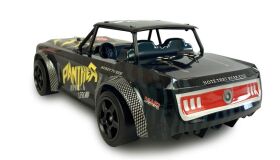 AMEWI Drift Sports Car Panther Pro 1:16 2,4GHz RTR / 21089