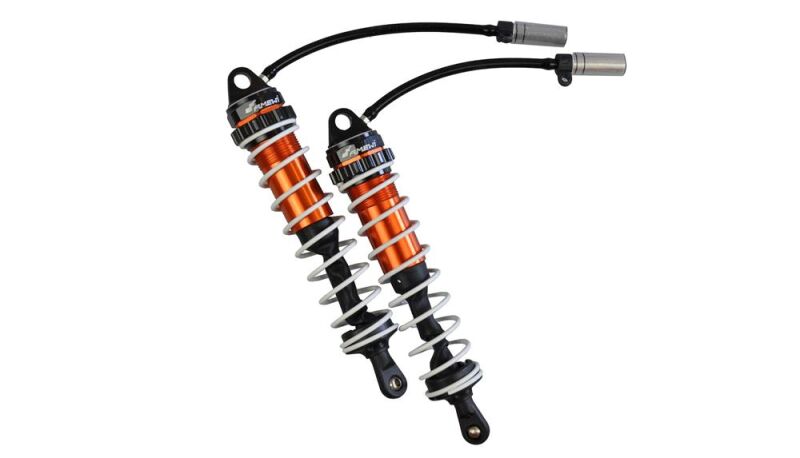 AMEWI Stoßdämpfer hinten, 2 Stück RXB7 / 019-22553005