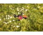 Carson X4 Quadcopter Angry Bug 2.0 100% RTF / 500507153