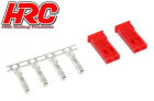 HRC Racing Stecker JST / BEC männchen (2 Stk.) / HRC9077M
