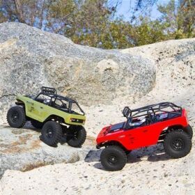 AXIAL Crawler SCX24 verschiedene Modelle 1/24 Scale 4WD RTR