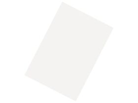 PICHLER PVC Platte (glasklar) 600 x 500 x 0.8 mm / 15167