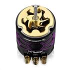 Hobbywing Xerun D10 Brushless Drift Motor 10.5T Violett / HW30401136