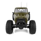 Element RC Enduro Ecto Trail Truck RTR grün / AE40117