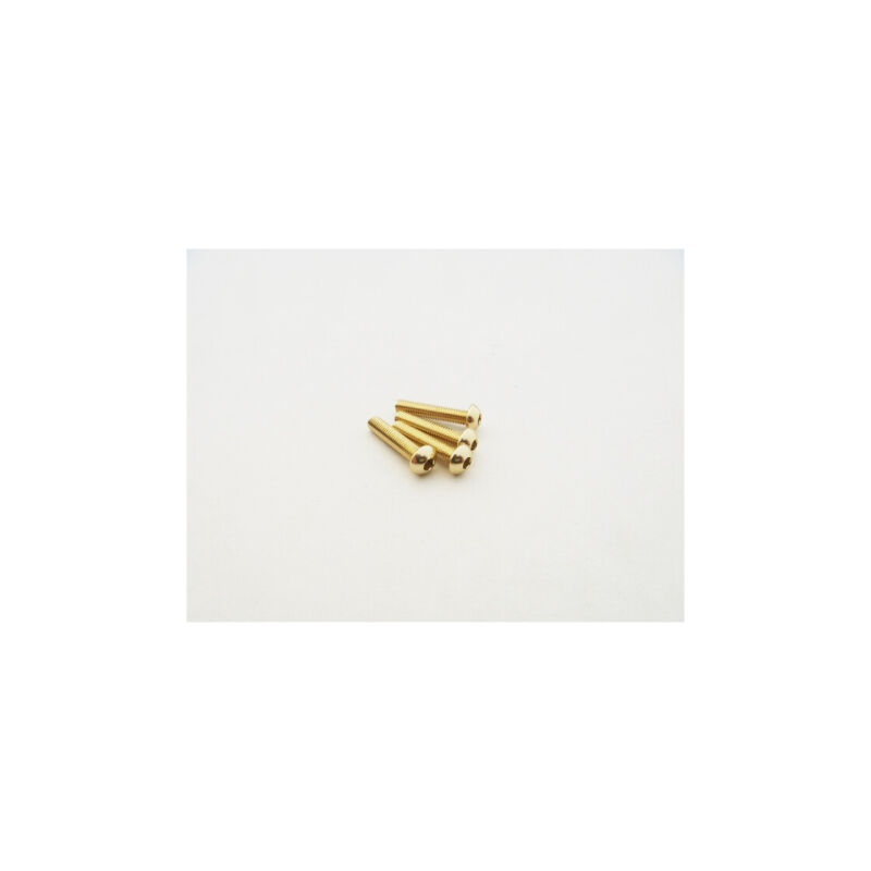 Hiro Seiko  Alloy Hex Socket Button Head Screw M3x20  (4pcs | Gold) / HS-48732