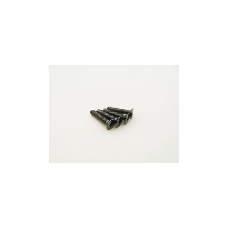 Hiro Seiko Alloy Hex Socket Flat Head Screw M3x20 (4pcs | Gray) / HS-48777