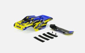 Carisma RC GT24TR CAR BODY PAINTED AND DECORATED / CA-15687