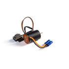Spektrum Firma BL Motor/ESC 2-in-1 Combo, 6000Kv für Losi Mini-T, Mini-B und Mini JRX2 / SPMXSEM0501