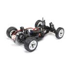 LOSI 1/16 Mini JRX2 2WD Buggy Brushed RTR