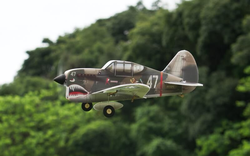 PICHLER P-40 Flying Tigers / 320 mm / 15803