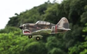 PICHLER P-40 Flying Tigers / 320 mm / 15803