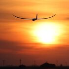 E-flite Segelflugmodell beleuchtet Night Radian 2.0m PNP / BNF Basic