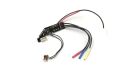 Kyosho Speedo 2.0 Kyosho Mini-Z Buggy BLS / K.MB023C
