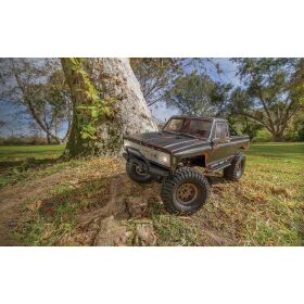 Element RC Enduro Trail Truck, Trailwalker RTR, black / AE40119