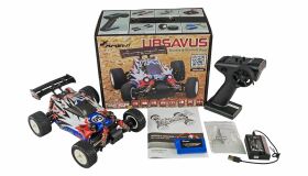 AMEWI / Ursavus Pro Buggy brushless 4WD 1:18 RTR / 22647