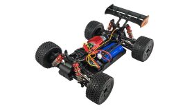 AMEWI / Entelodon Truggy brushed 4WD 1:18 RTR / 22650