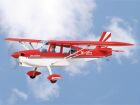 Black Horse Bellanca Decathlon / 2450mm / C8054