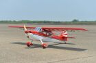 Black Horse Bellanca Decathlon / 2450mm / C8054