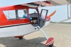 Black Horse Bellanca Decathlon / 2450mm / C8054