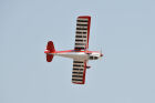 Black Horse Bellanca Decathlon / 2450mm / C8054