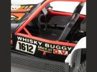 PICHLER Buggy 1:16 RTR (schwarz oder blau) Komplett Set