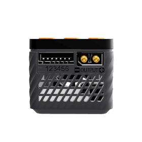 SkyRC B6AC Neo LiPo 1-6s / SK100200-01