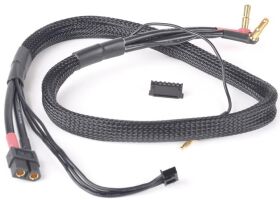 ABSIMA Ladekabel XT60 - 4/5mm Goldstecker / XH Adapter...