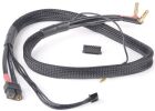 ABSIMA Ladekabel XT60 - 4/5mm Goldstecker / XH Adapter 600mm / 3040058