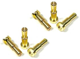 ABSIMA 4/5mm Goldstecker (6 St.) / 3040018